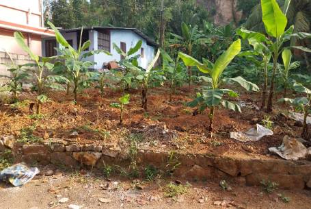 plot near technopark